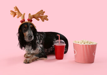 Cute cocker spaniel in reindeer horns with soda and popcorn on pink background