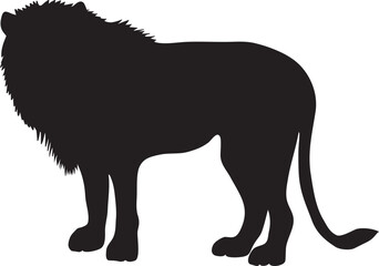 Male lion silhouette on white background. Lion vector illustrations.	雄ライオンのシルエッットイラスト