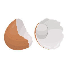 Eggshell. Vector illustration on a white background