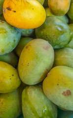 Fresh Green and Ripe Mangoes Close-Up