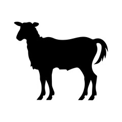 silhoutte of a sheep