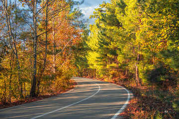 Obraz premium Asphalt road through autumn forest at sunrise