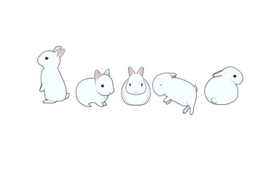 白うさぎの5種類のポーズセット