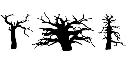 set of vector images of dry tree silhouettes on a white background
