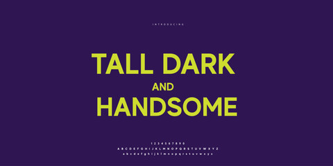 Elegant Font Uppercase Lowercase and Number. Classic Lettering Minimal Fashion Designs. Typography modern Sen serif fonts regular decorative vintage concept. vector illustration © SyedMuhammad