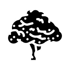 macadamia tree jungle amazon glyph icon vector. macadamia tree jungle amazon sign. isolated symbol illustration