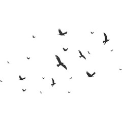 Flock of Pigeons Flying