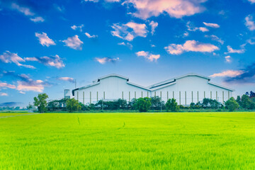 Factory with green fields and bright sky, nature background image