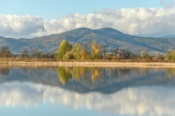 Flooded meadow after heavy rains. Autumn landscape.