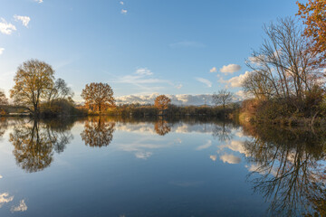 Trees reflected in a flooded meadow after heavy rains. Autumn landscape.