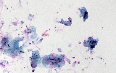 Bilberry stains on white paper. Abstract background