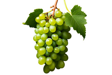 green grapes isolated on transparent background, PNG file, professional studio photo