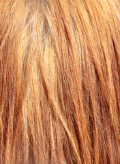 Straight female blonde hair background. Texture