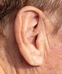 Close-up of an elderly man's ear. Macro