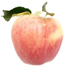 Ripe apple isolated on white background