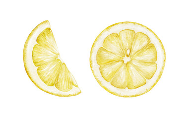 Watercolor fruit lemon slices isolated on white background. Hand drawn food illustration. For menu, cookbook, packaging, signboard, market, posters - obrazy, fototapety, plakaty