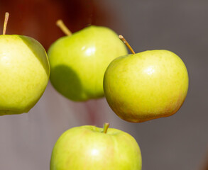 A green apple hangs in the air