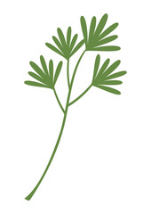 Fototapeta na wymiar plant leaves 447
