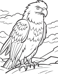 hand drawn eagle drawing illustration 