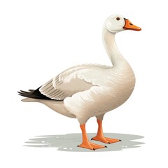 Obraz premium cute cartoon goose illustration on white background