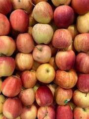 Ripe apples nearby. Planting Red apple background