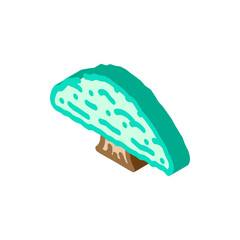 ceiba jungle amazon isometric icon vector. ceiba jungle amazon sign. isolated symbol illustration