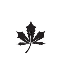 leaf icon, vector best flat icon.