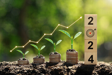 Seedlings are growing on the Coins stack with cubes with text 2024 .business growth, profit, and succeed Development to achieve the 2024 target.Strategic planning coupled with environmental protection