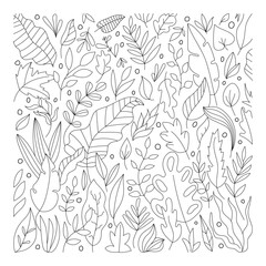 Plant doodle set. Hand drawn. Isolated on white background.