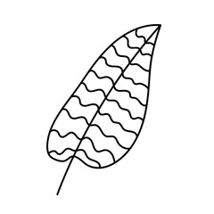 Doodle style plant. Hand drawn. Isolated on a white background.