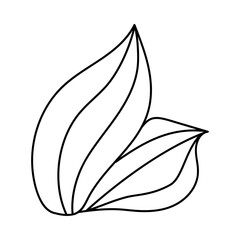 Doodle style plant. Hand drawn. Isolated on a white background.