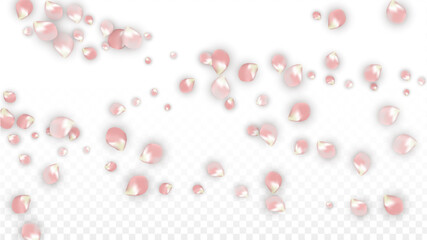 Pink Vector Realistic Petals Falling on Transparent Background.  Spring Romantic Flowers Illustration. Flying Petals. Sakura Spa Design. Blossom Confetti. Design Elements for Wedding Decoration.