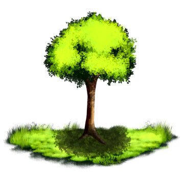 painting illustration of trees and grass under hot sun in cartoon style isolated on white