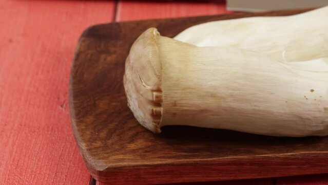 Pleurote du panicaut (pleurotus eryngii) en gros plan
