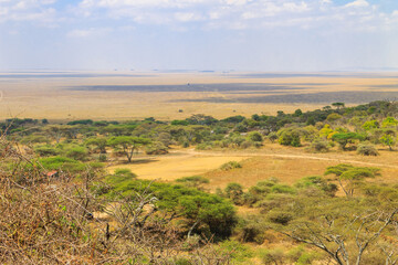 View of Serengeti national park, Tanzania