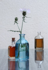 Shore thistle and  aromatic oil - 682728690