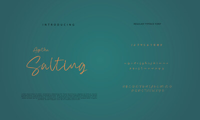 Handwritten Script font. Hand drawn brush style modern calligraphy cursive typeface. Hand Lettering and Custom Typography alphabet for Designs: Logo, Greeting Cards, Poster. Vector Brush type set.
