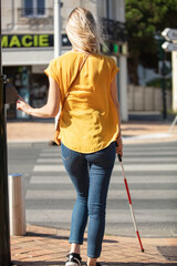 young blind woman with guide dog crossing road