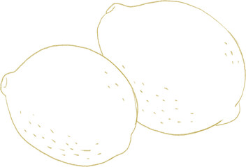 Lemons line art illustration