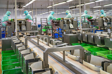 Process shrimp at factory in Vietnam - obrazy, fototapety, plakaty
