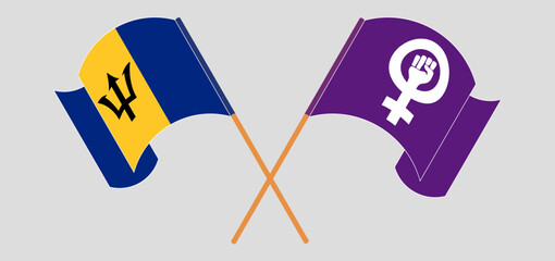 Crossed and waving flags of Barbados and Feminism - obrazy, fototapety, plakaty