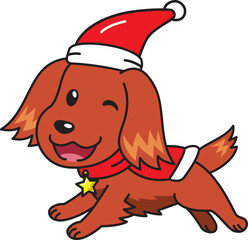 Cartoon irish setter dog with christmas costume for design.