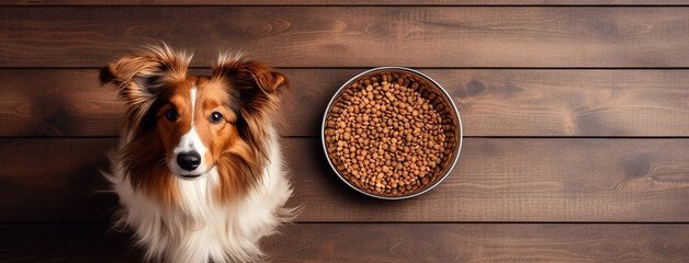 Cute brown color dog looking up and waiting for food on a wooden floor, a food bowl next to him - obrazy, fototapety, plakaty