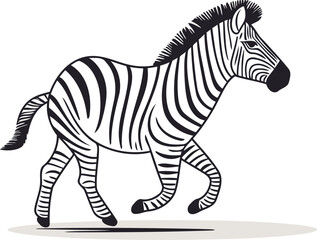 Zebra black and white vector illustration isolated on white background