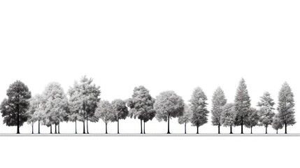 Set of outline tree silhouettes, side view, set of symbolic outdoor tree graphic elements for architecture and landscape design.