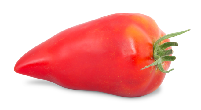 Tomate andine cornue	