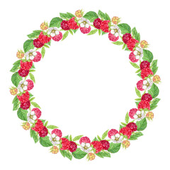 Raspberry wreath on a transparent background. Watercolor Ripe red berries, flowers, branches and leaves. Watercolor frame for the design of cards, invitations, stickers, labels.