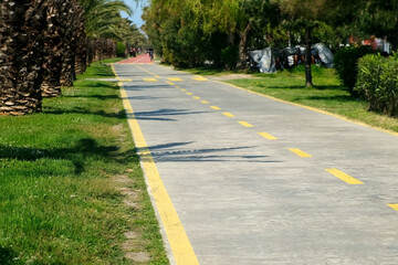 Pedestrian bike path with markings on road in city park in tropical country in sunny day. Good urban infrastructure with alley of green palm trees and grass. Citizens riding bikes and walking.