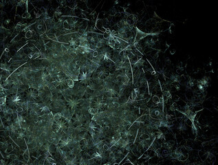 Imaginatory fractal abstract background Image