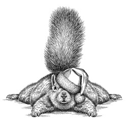 Vintage engraving isolated squirrel set dressed christmas rodent illustration ink santa costume sketch. Forest background gnawer animal silhouette new year hat art. Black and white hand drawn image